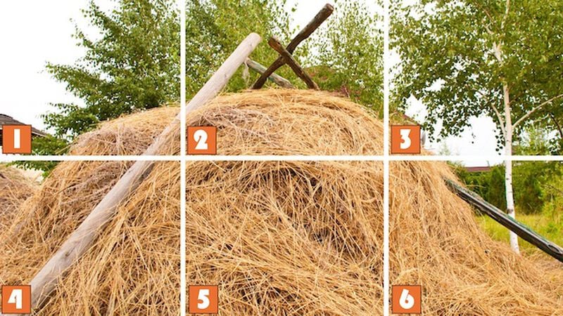 Needle in a Haystack 2
